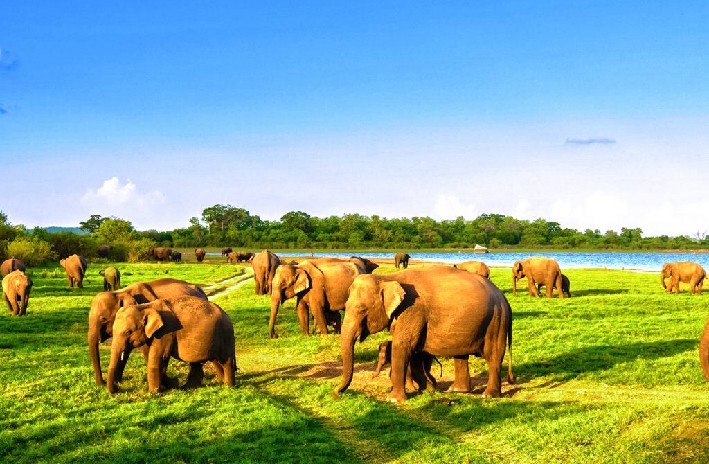 Top Places to Visit in Sri Lanka in 2024