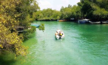 Madu Boat Safari