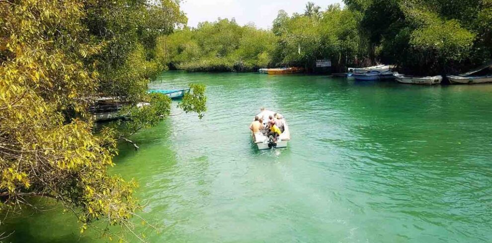 Madu Boat Safari