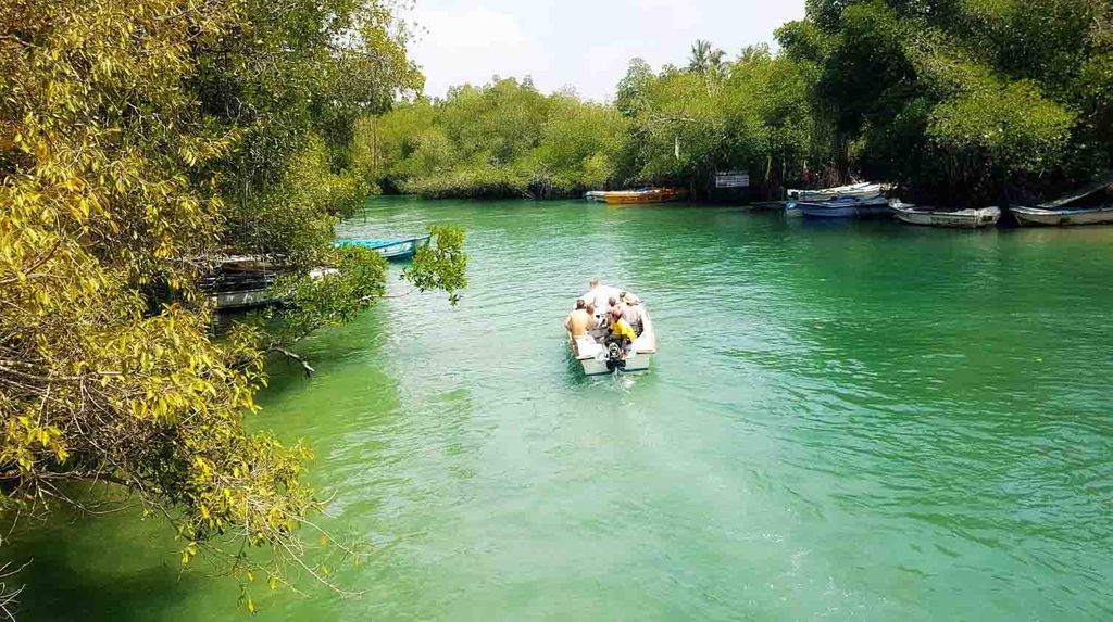 Madu Boat Safari