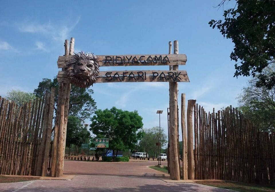 Ridiyagama Safari Park: Sri Lanka’s Premier Drive-Through Wildlife Experience